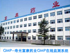 GMP温湿度在线监测系统