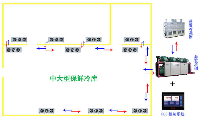 水果保鲜冷库公司